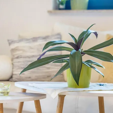 Διαμέρισμα Mit 3 Schlafzimmern Σόλινγκεν