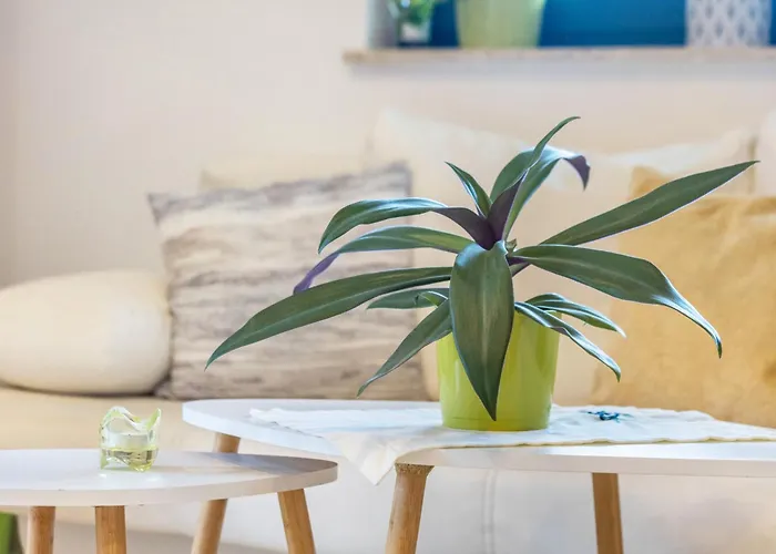 Appartement Mit 3 Schlafzimmern Solingen